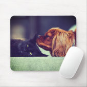 Katze, Tier, Kitten Mousepad (Mit Mouse)