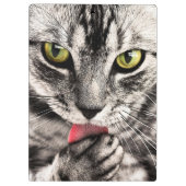 Katze Tierportrait-68667 Klemmbrett (Rückseite)