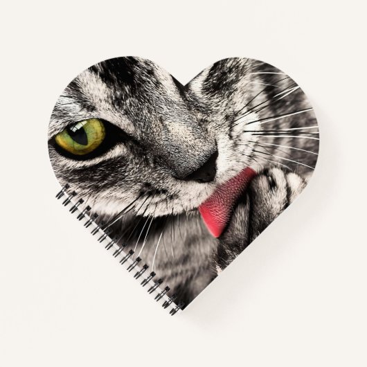 Katze Tierportrait-68667 Notizblock (Vorderseite)
