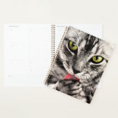 Katze Tierportrait-68667 Planer (Anzeige)