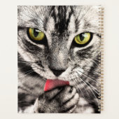 Katze Tierportrait-68667 Planer (Rückseite)