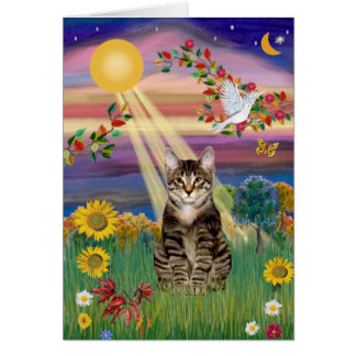 Katze (Tiger) - Herbstsonne