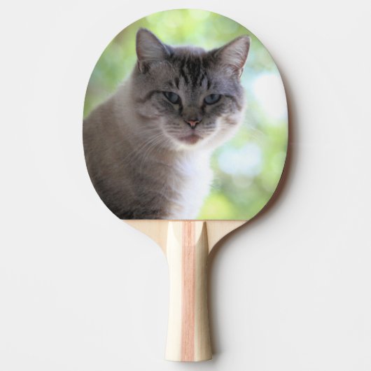 Katze Tischtennis Schläger (Vorderseite)