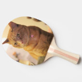 Katze Tischtennis Schläger (Seitenansicht)