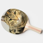 Katze Tischtennis Schläger (Seitenansicht)