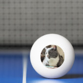Katze Tischtennisball (Netto)