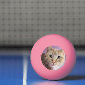 Katze Tischtennisball (Netto)