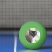 Katze Tischtennisball (Netto)