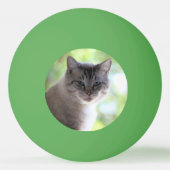 Katze Tischtennisball (Rückseite)