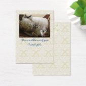 Katze Titanic Quote Brocade Geschenktag (Schreibtisch)