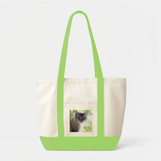 Katze Tragetasche (Vorne)