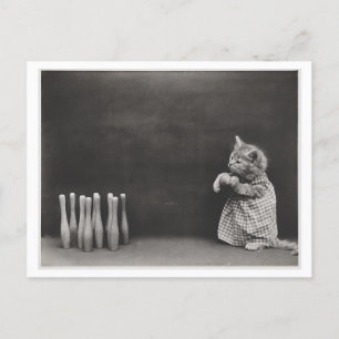 Katze trägt Kleidung und Bowling Vintage Oddity Postkarte
