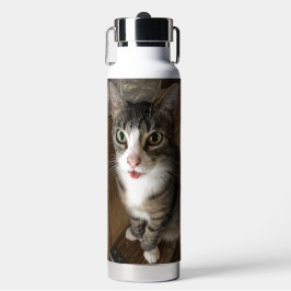Katze Trinkflasche