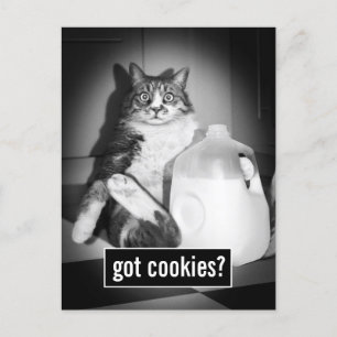 Katze trinkt Milch von Jug Einladungspostkarte