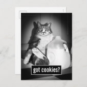 Katze trinkt Milch von Jug Einladungspostkarte (Vorne/Hinten)