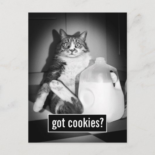 Katze trinkt Milch von Jug Einladungspostkarte (Vorderseite)