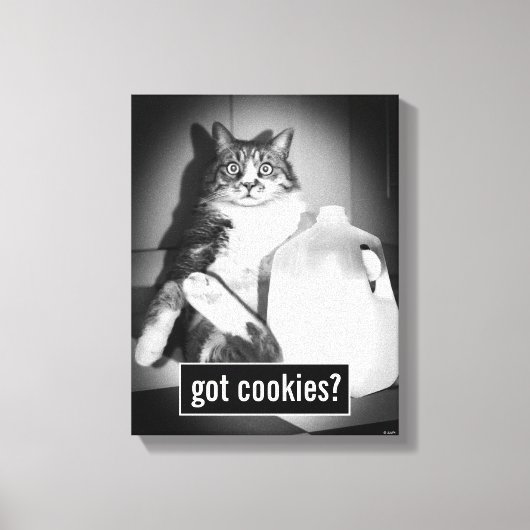 Katze trinkt Milch von Jug Leinwanddruck (Vorderseite)