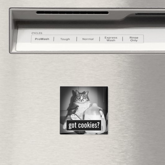 Katze trinkt Milch von Jug Magnet (In Situ (Geschirrspüler))