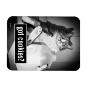 Katze trinkt Milch von Jug Magnet (Horizontal)