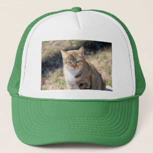 Katze Truckerkappe