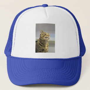 Katze Truckerkappe
