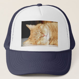 Katze Truckerkappe