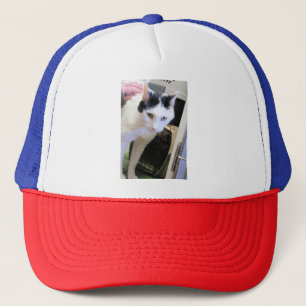 Katze Truckerkappe
