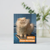 Katze über Gras Einladungspostkarte (Stehend Vorderseite)