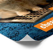 Katze über Gras Poster (Ecke)