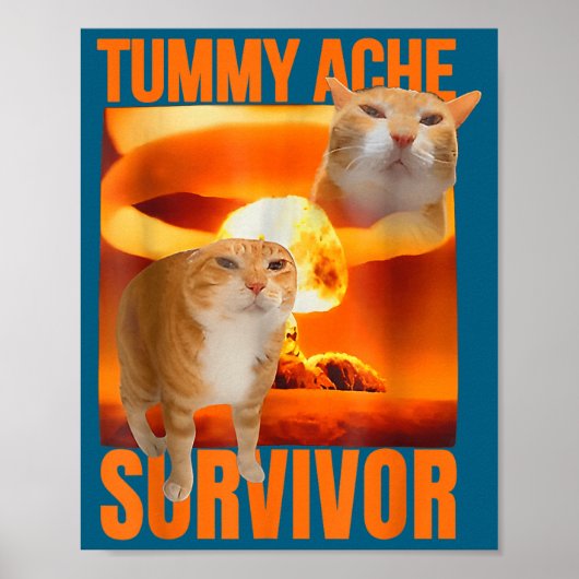 Katze überlebte Bauchschmerzen Meme Lustiger Spruc Poster (Vorne)