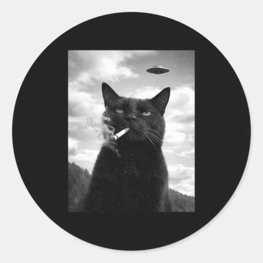 Katze Ufo Meme Selfie Alien Runder Aufkleber (Vorderseite)