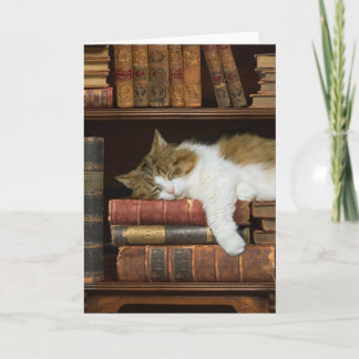 Katze und Bücher Karte