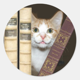 Katze und Bücher Runder Aufkleber