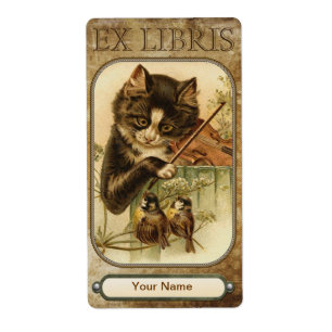 Katze und die Fiddle-Buchplatte