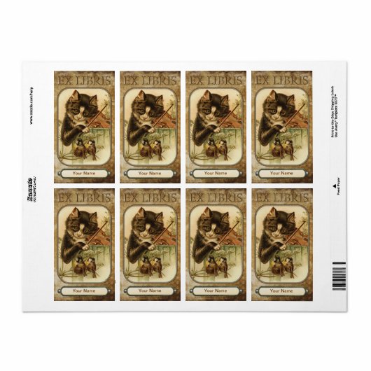 Katze und die Fiddle-Buchplatte (Vorne)