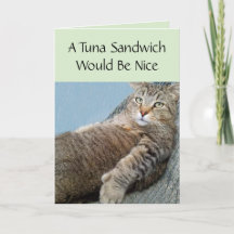 Katze und ein Thunfischsandwich zum Geburtstag