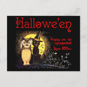 Katze und Eule auf einer Vintage-Halloween-Postkar Postkarte