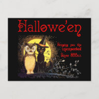 Katze und Eule im Vintagen Halloween Postkarte