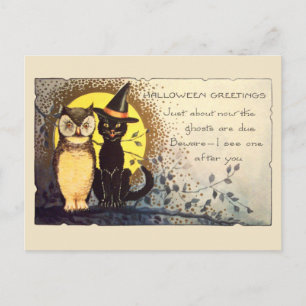 Katze und Eule im Vintagen Halloween Postkarte