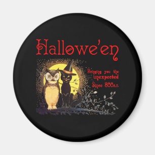 Katze und Eule Magnet