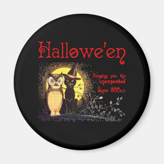 Katze und Eule Magnet (Vorne)