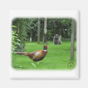 Katze und Fasan Magnet