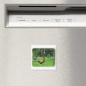 Katze und Fasant Magnet (In Situ (Geschirrspüler))