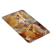 Katze und Fisch Magnet (Rechte Seite)
