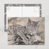 Katze und Freret Postkarte (Vorne/Hinten)