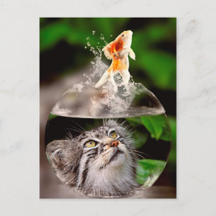 Katze und Goldfische Postkarte