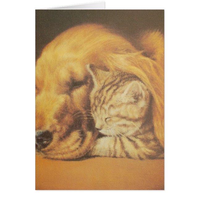 Katze und Hund (Vorne)