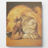 Katze und Hund Fotoplatte (Vorderseite)