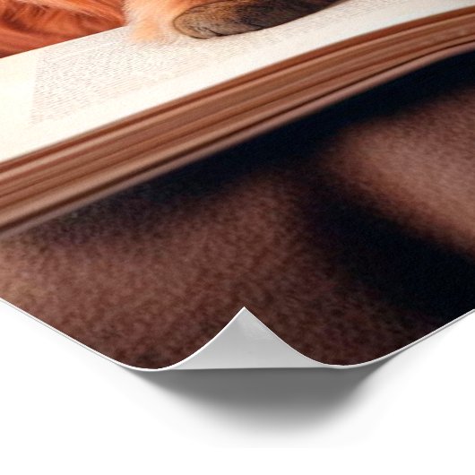 Katze und Hund lesen ein Buch Poster (Ecke)