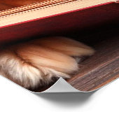Katze und Hund lesen ein Buch Poster (Ecke)